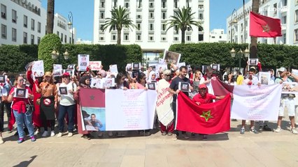 شاهد: مدافعون عن حقوق الحيوان يطالبون بحظر قتل الكلاب الضالة وتعنيفها في المغرب