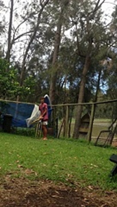 backyard cricket make your decision
