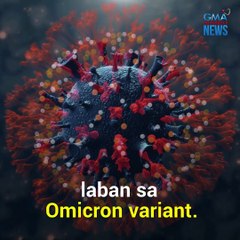Paano naiiba ang bilavent COVID-19 vaccines? | Need to Know