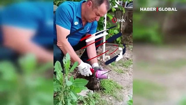 Minik kedinin kafası konserve kutusuna sıkıştı, yardımına itfaiye ekibi koştu