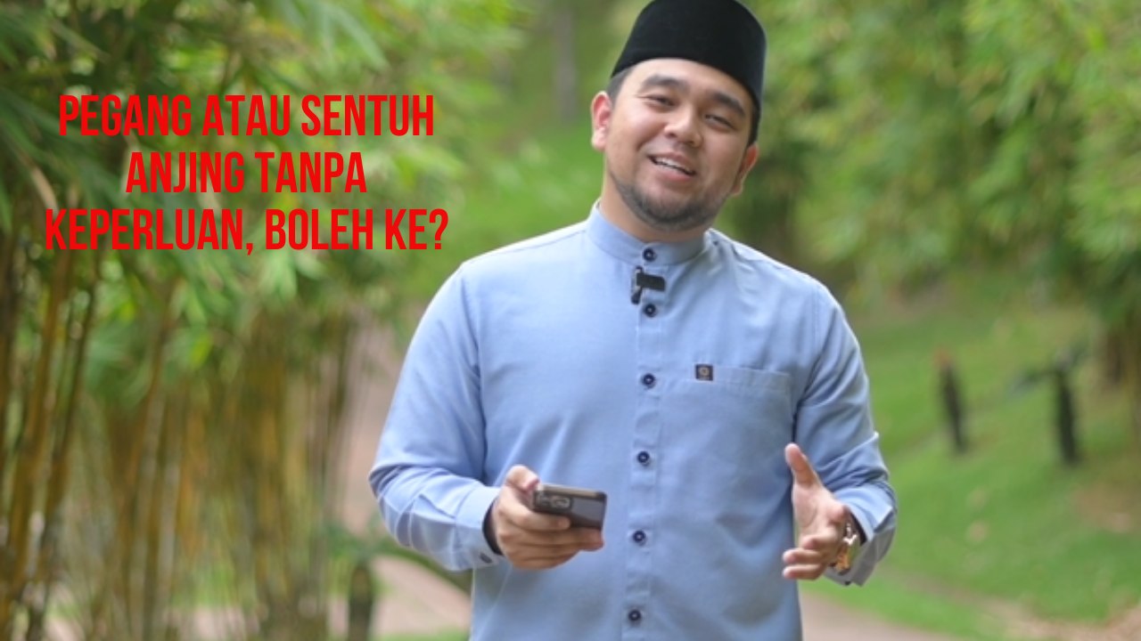 Pegang atau sentuh anjing tanpa keperluan, bole...