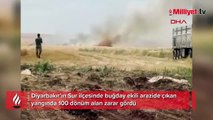 Diyarbakır'da 100 dönüm alanda etkili buğday yandı