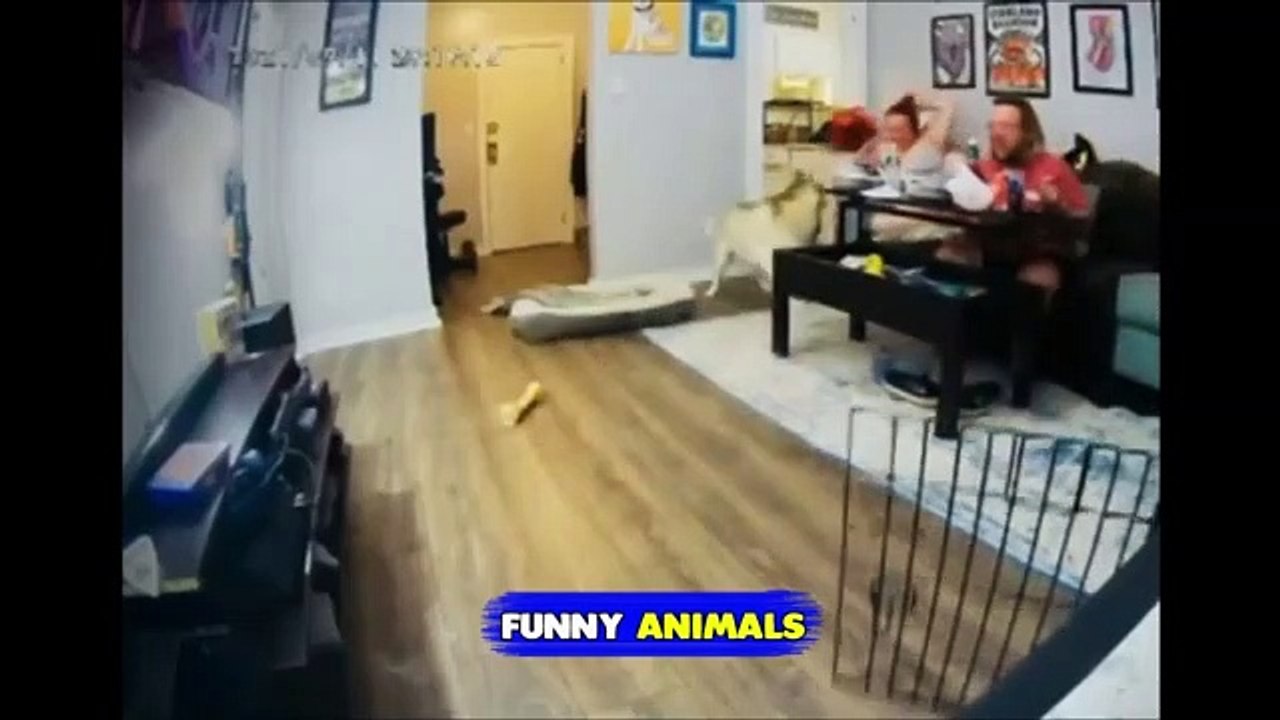 New Who's in charge of the house Prank 2023