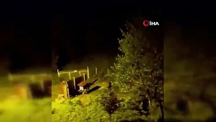 Rize’de çay bahçesine giren ayı görenleri korkuttu