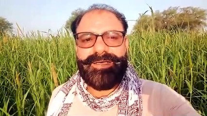 अब तक 1.5 लाख ...गिफ्ट हो या सम्मान, मिलता एक पौधा