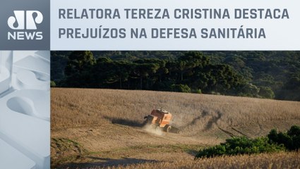 Comissão do Senado deve votar PL contra cortes no agro na próxima quarta (07)