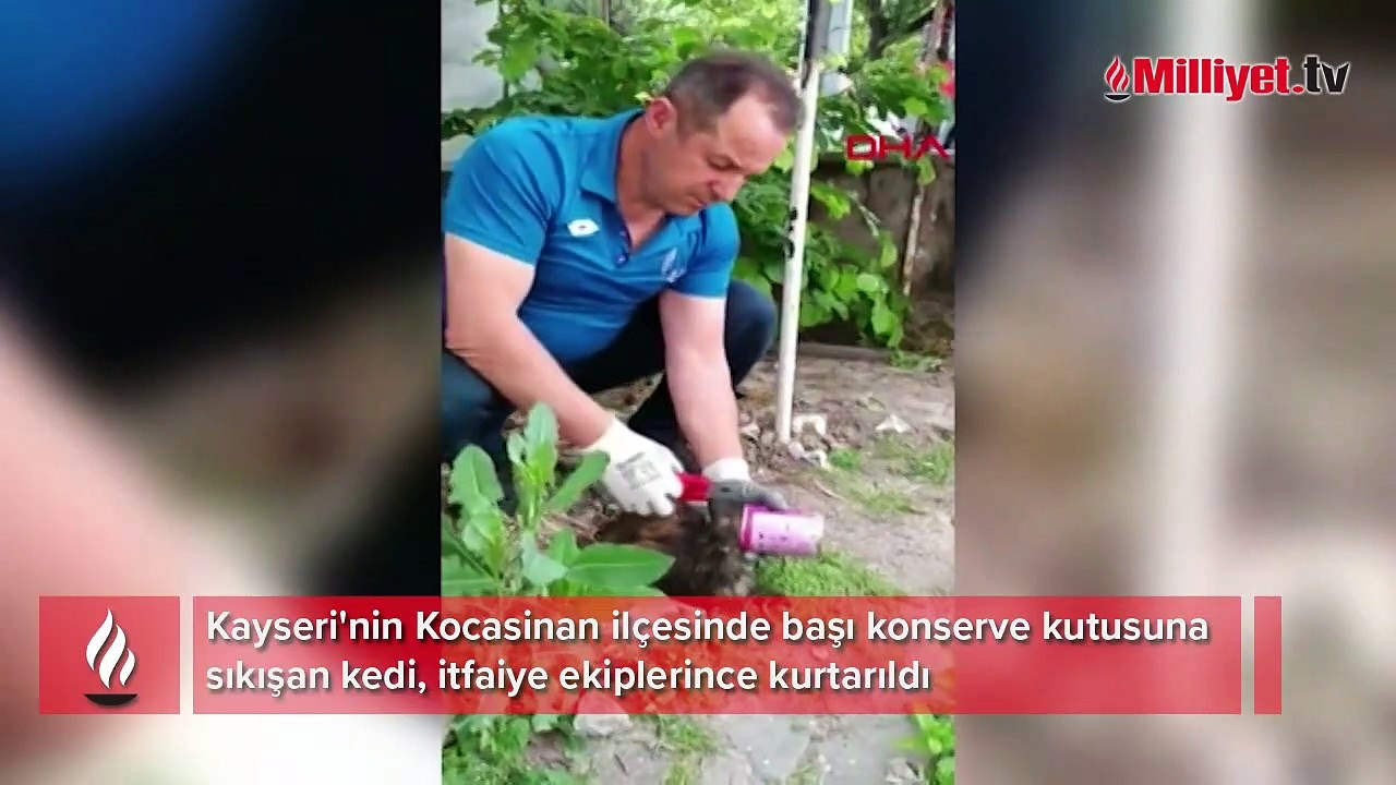 Başı konserve kutusuna sıkışan kedi kurtarıldı