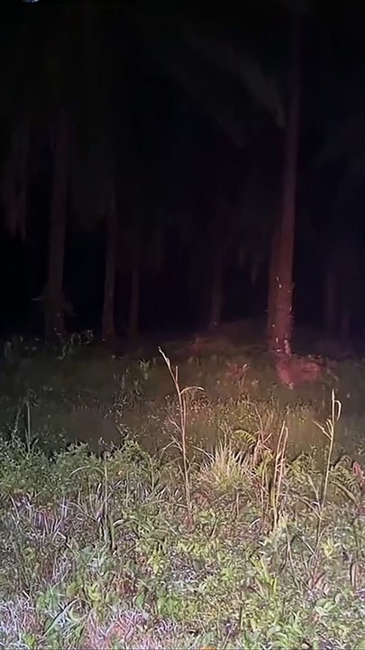 Paranormal activity ghost on camera part 137