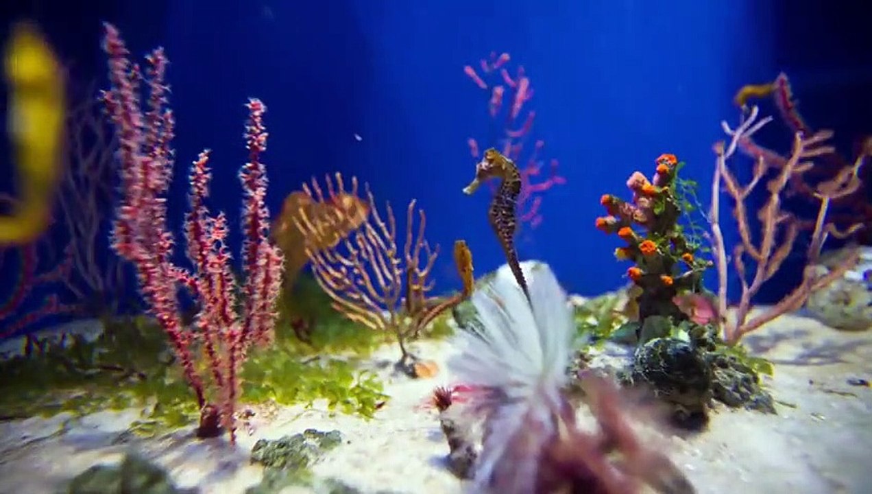 Die spektakulärsten Häuser der Welt