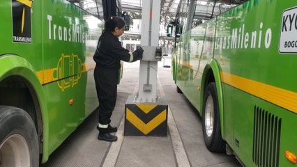 "La Rolita", la empresa de autobuses sostenibles y con equidad de género en Colombia