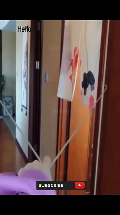 Funny videos  70