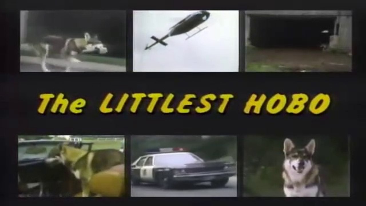 The Littlest Hobo