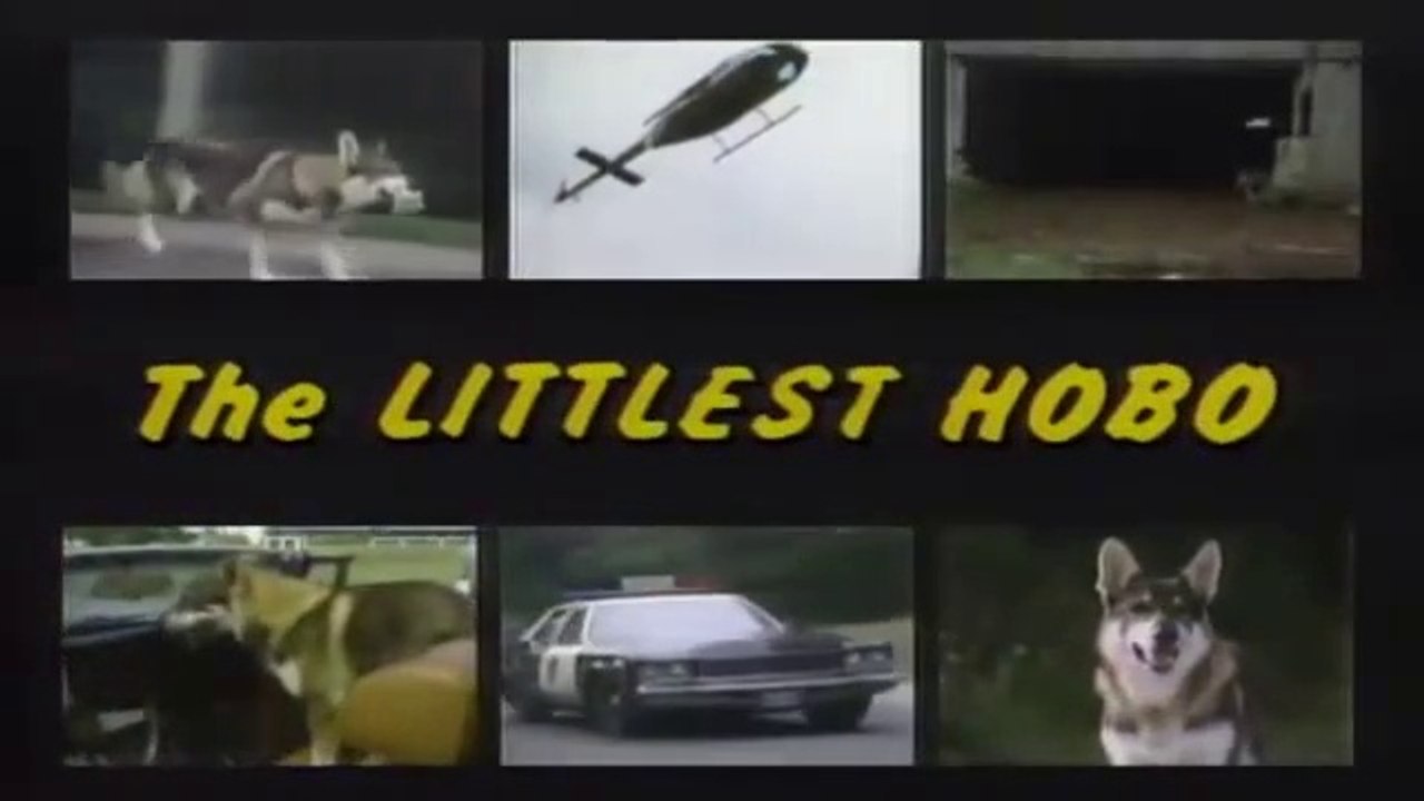 The Littlest Hobo