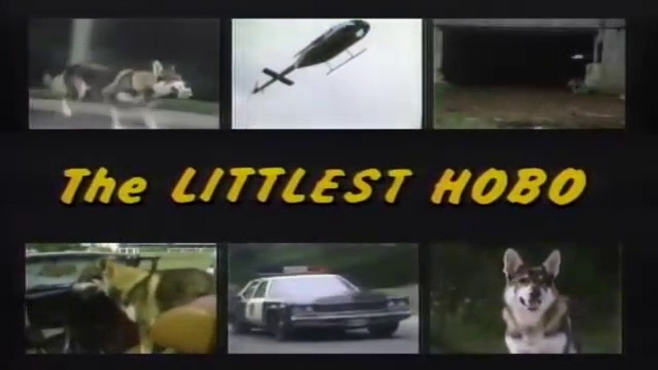 The Littlest Hobo