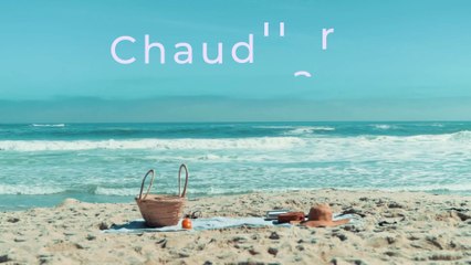 Chaudhary Lyric Video by Amit Trivedi 🎵