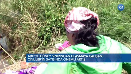 Güney sınırından Amerika'ya girmeye çalışanlar arasında Türkler de var