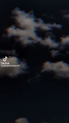 1124c30d779bcf64b44234297c62e53d