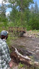 Two Dogs Tackle a Mountain Creek 🌊