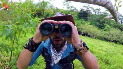 STINGS that SHOCKED me!