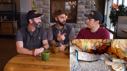 Discover the Amazing Double-Fanged Rattlesnake 🐍