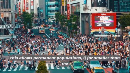 The Future of Terrorism | Peter Zeihan