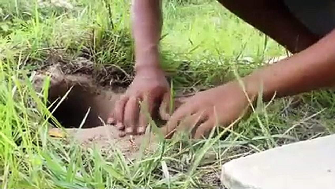 Unique Rabbit Trap Unique Quick Rabbit Trap Using Deep Fall Wo