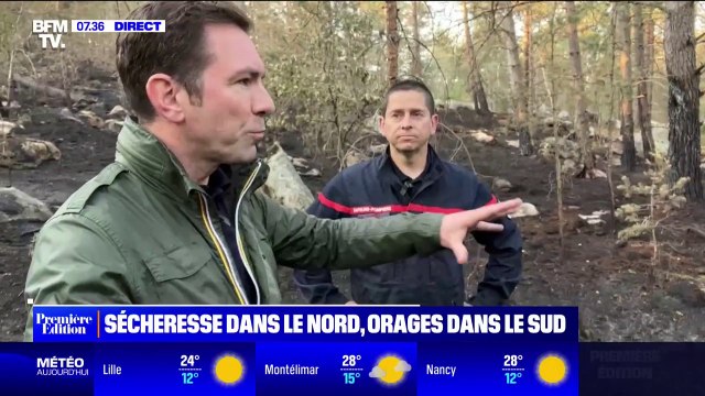 Dans la forêt de Fontainebleau, les sapeurs-pompiers se préparent aux incendies en raison de la sécheresse actuelle