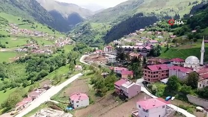 Goût ouvert de Trabzon au monde： Riz au lait Hamsikoy