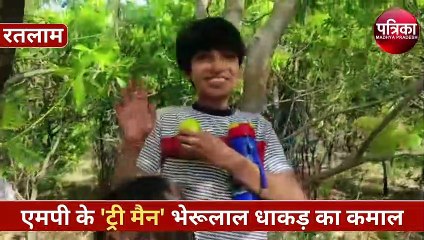बिहार के 'माउंटेन मैन' दशरथ मांझी की तरह एमपी में हैं एक 'ट्री मैन', बंजर पहाड़ को बना डाला हरा-भरा