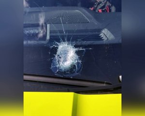 Police probe after organ delivery car damaged near Derby