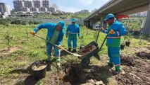 Başakşehir Belediyesi Bahçeşehir'de Fidan Üretim Merkezi'ni Açtı