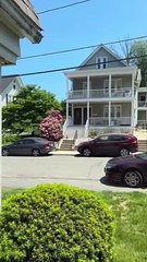 Groundhog Sits Outside Home