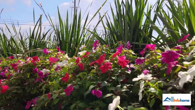 Broadstone Memorial Park: Contact, Pricing, Location, Apartment Features & More