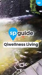 SP Guide: Relax and Unwind at Qiwellness Living