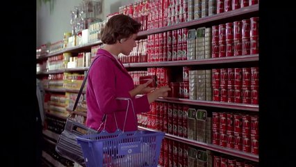 Ilha das Flores Documentário