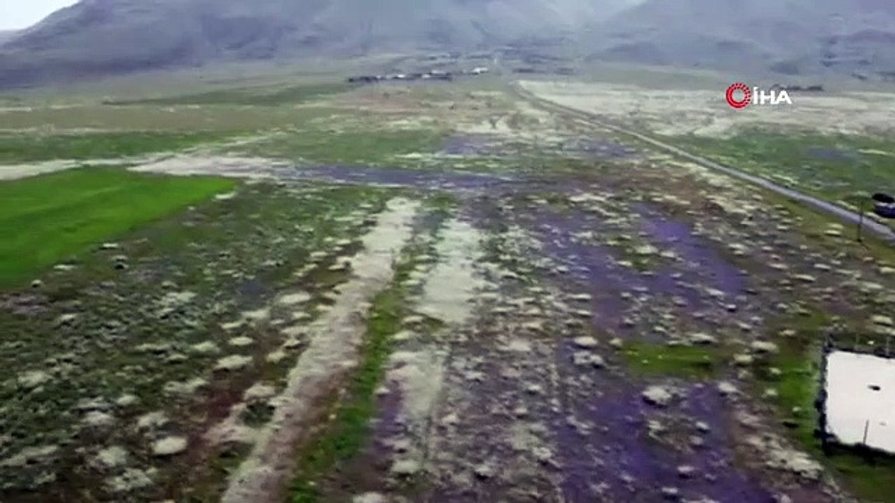 Les jupes du mont Ararat sont devenues violettes et blanches
