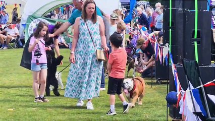 WATCH: Dog shows, live music and lots of attractions and other activities at Lindfield village day