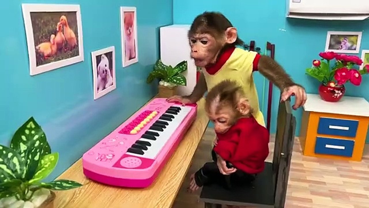 Baby_Monkey_Pin_Pin_playing_guitar_and_harvest_fruit_with_baby_monkey_kiki
