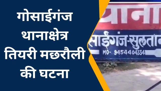 सुलतानपुर: हाईटेंशन लाइन की चपेट में आने से तीन भैंसों की हुई मौत