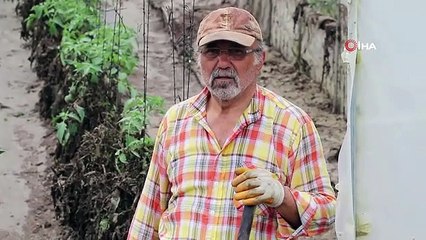 Amasya'da sağanak sonrası sel seraları da vurdu