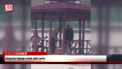 Konya'da köpeğe eziyet eden şahıs