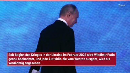 Russland trainiert Wale und Delfine