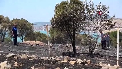 Ayvalık'ta Kırsal Alan Yangınına Helikopter ve Uçaklarla Müdahale Edildi
