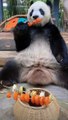 Panda Gong Gong Eat Carrot With Bbq Stick