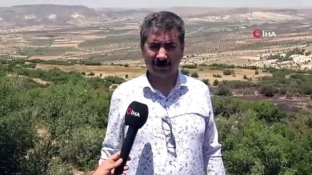 20 acres de terrain ont été détruits dans l'incendie de forêt à Kilis