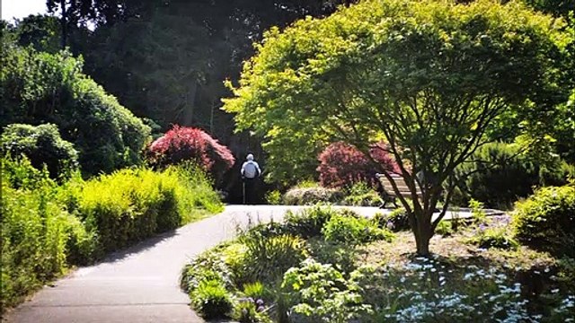 Alexandra Park in Hastings, East Sussex, in pictures