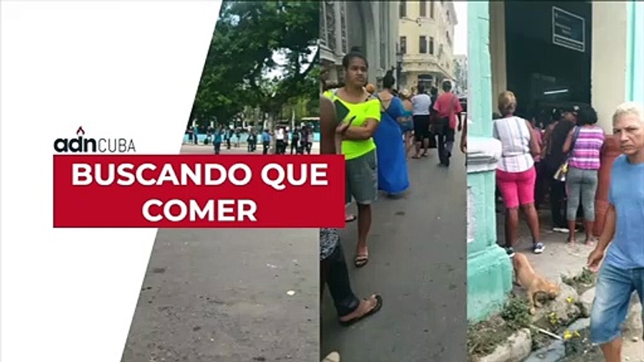 Buscando qué comer