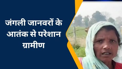 बहराइच: जंगली जानवरों के बढ़ते आतंक से परेशान ग्रामीणों ने लगाई सुरक्षा की गुहार