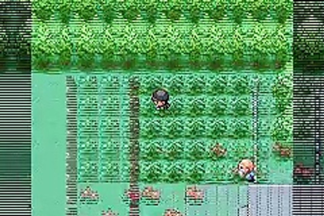 Pokémon FireRed Rocket Edition online multiplayer - gba