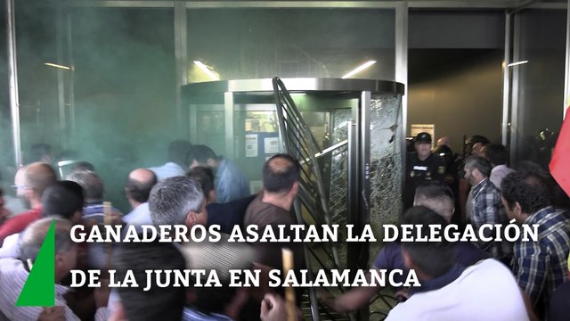 Decenas de ganaderos asaltan la Delegación de la Junta en Salamanca en protesta contra la inmovilización del ganado